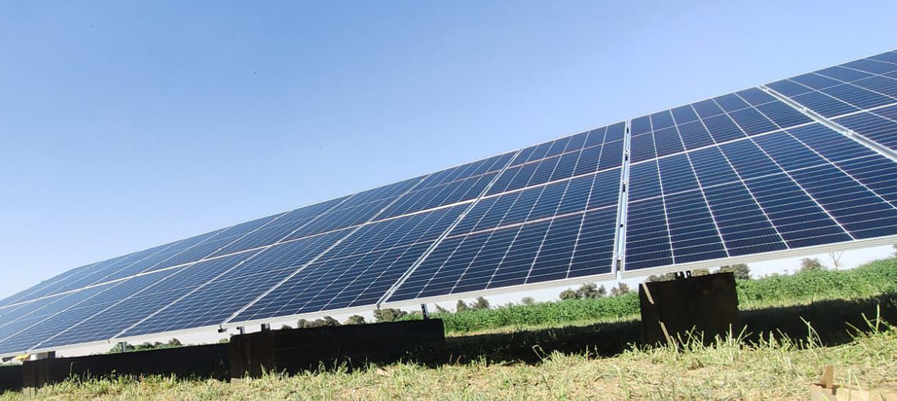 ألواح Jinko Solar أقوى العلامات في مجال الطاقة الشمسية